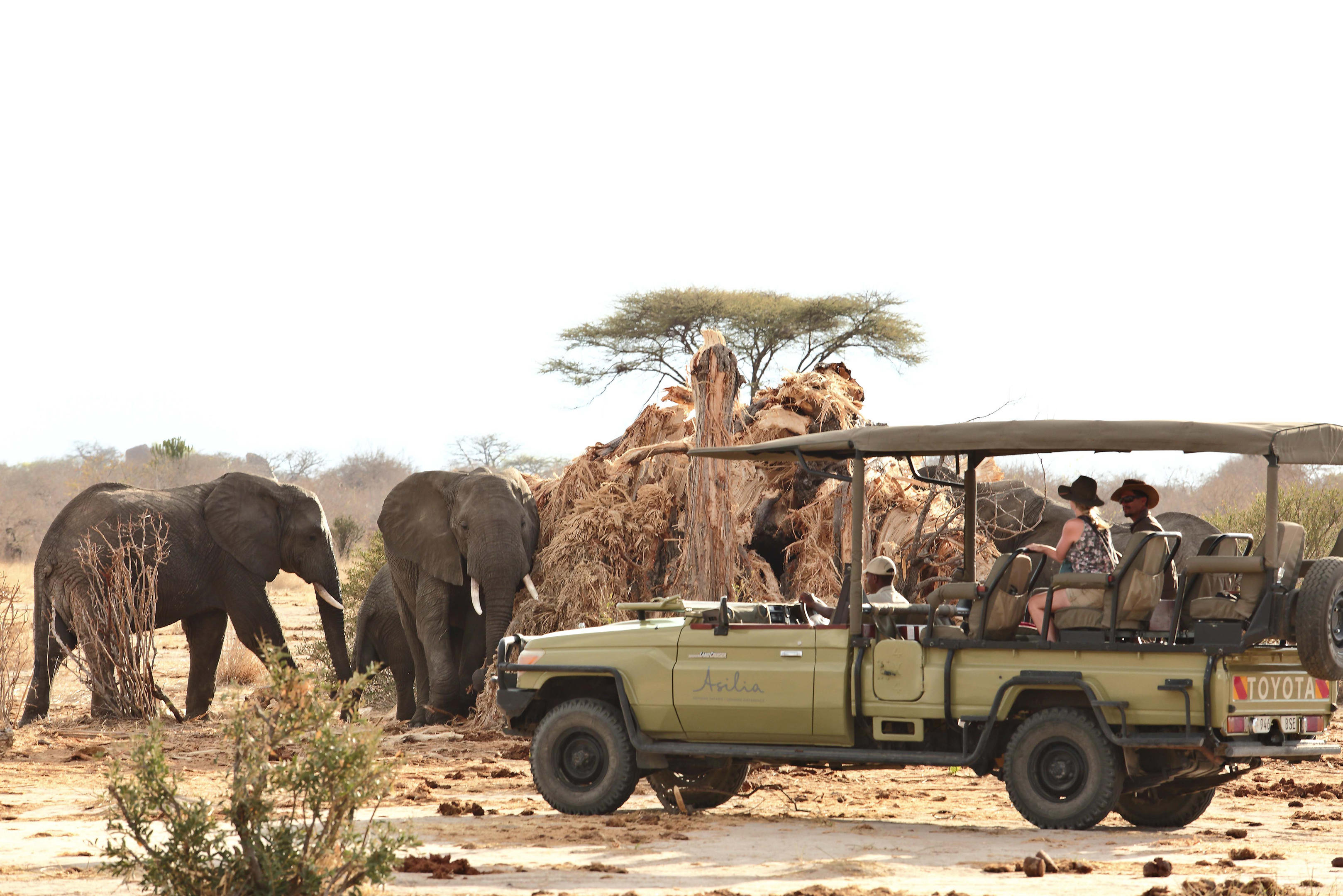 Jabali Private House thumbnail 8